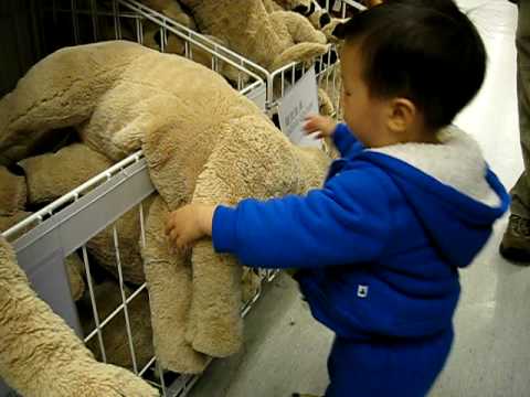 在IKEA(狗狗)