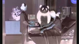 Panda in Hospital in G Major.wmv
