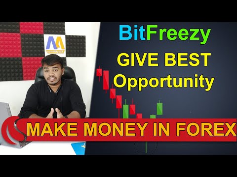 Bitfreezy Give Best Opportunity in Forex  ! bitfreezy review in Hindi