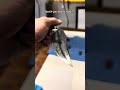 Etching Damascus is a science! (Literally) #bladesmithing #forge