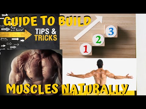 how-fast-can-you-build-muscle-