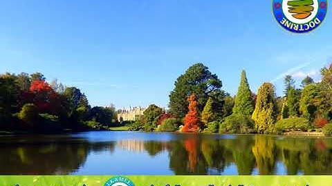 سورة هود بصوت القارئ المغربي العيون الكوشي