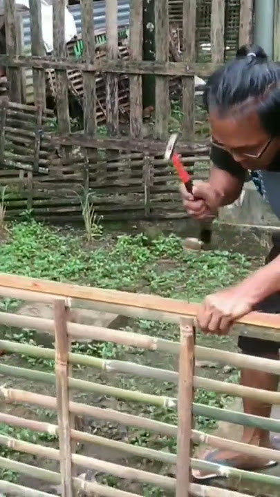 KOLAM IKAN MURAH !!! CARA MEMBUAT KOLAM IKAN HIAS MOLLY DARI BAMBU #kolamikan #kolam #mollyfish