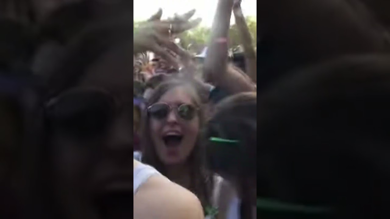 ► Techno Parade (Paris) 