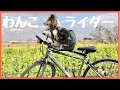 わんこライダー発進！ 秘密アイテム、バディライダー登場！！