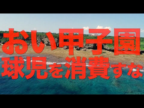 球児への負担が大きい甲子園に一言