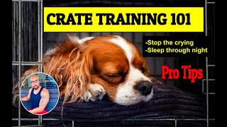 Crate Training Tips for Puppies & Dogs by My New Puppy with Ali A. Parker 24,425 views 11 months ago 2 minutes, 55 seconds