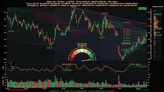 Tesla, Inc. ( $TSLA ) SpicyTrade - Daily Stock Analysis