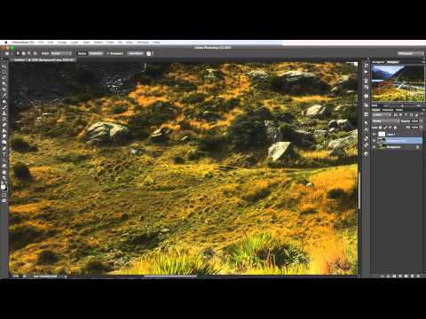 Photoshop Tutorial: How to use the patch tool to remove objects from your photos