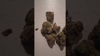 medical Marijuana dispensary