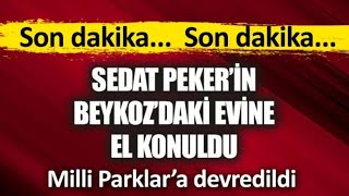 SEDAT PEKER'İN EVİNE EL KONULDU SEDAT PEKER ÇILDIRDI