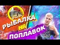 РЫБАЛКА НА ПОПЛАВОК! НА КУБАНИ! ГОТОВЛЮ РЫБУ НА КОСТРЕ!