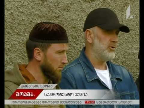 საპროტესტო აქცია პანკისის ხეობაში