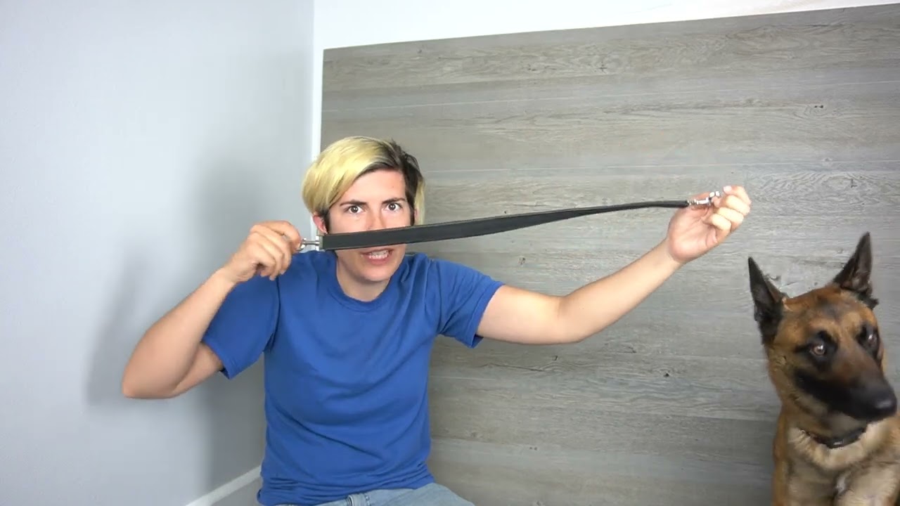 How to Measure for Service Dog Gear