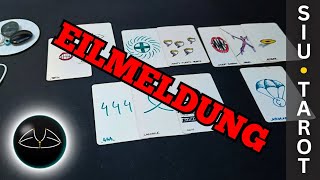 ⚞EILMELDUNG⚟ Was sollst du JETZT erfahren? • 3 Meldungen 444 #024