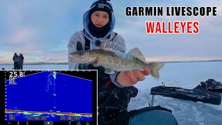 Ice Fishing Walleyes!! | Garmin LiveScope footage!