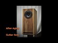 Before/After Aging Comparison OM-OF101 ONTOMO Mook SPeaker Unit