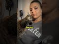 Wie verhalten sich Katzen in den letzten Augenblicken ihres Lebens?