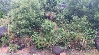 Điểm Đen Km100 Ql29