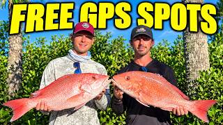Sarasota Red Snapper Fishing | Free GPS Spots & Sharks #RedSnapperFishing #sarasota