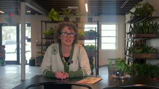 News Tribune with owner of Little Leaf Essentials Plant Shop in JCMO