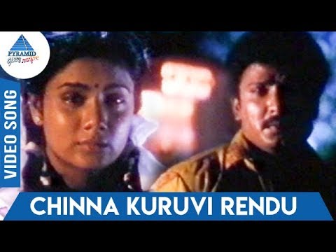 Chellakannu 1995 Tamil Movie Songs  Chinna Kuruvi Rendu Video Song  SPB  K S Chitra  Deva
