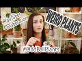 My WEIRD Plants | #oddballplants | YouTuber Collaboration