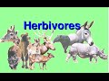 What are Herbivores -Video for Kids