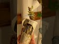 When Lettuce Flowers in your hydroponic, It’s Time to Replace It #lettuce #breen #gardyn