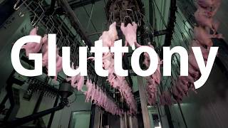 Master in Design For Emergent Futures (MDEF)
