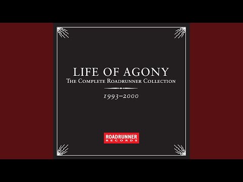 Plexiglass Gate (Live 97)