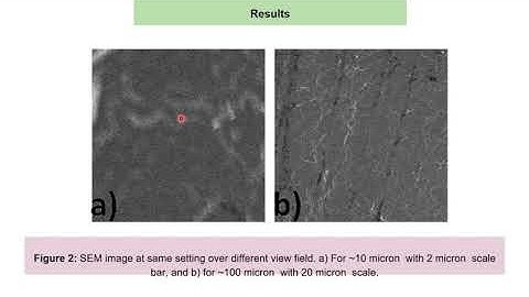 MIC Hackathon 2025 Project — Machine learning–enabled SEM-driven surface morphometrics