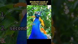 TOP5 MOMEN TERLUCU #funny #funnyvideos #comedy #viral #memes #lol #haha #laugh #funnymoments#top