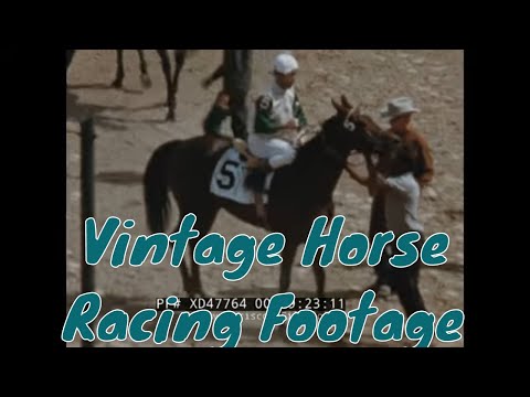 Thoroughbred Race Day Hot Springs, Arkansas Oaklawn Park Horse Race Track 1962 Xd47764 still