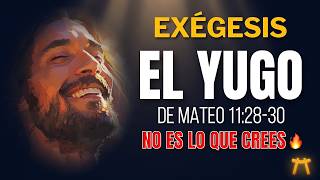 Matthew 11:28-30 | Full Exegesis: The True Rest Jesus Offers