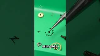 Thumbnail for Digging Through Trays