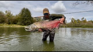 Fly Fishing in California 2025 | Short Film B-roll |