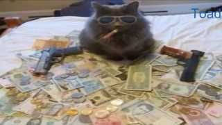 THUG LIFE