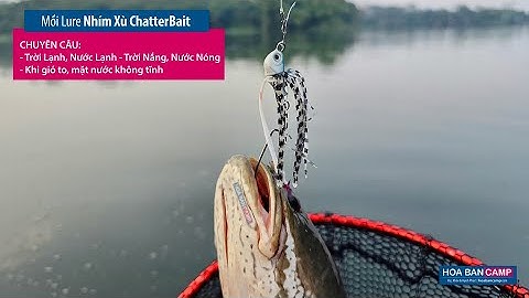 Mồi Lure Chuyên Câu Trời Lạnh, Trời Nóng, Gió To | NHÍM XÙ ChatterBait
