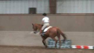 Joe Fargis clinic '09 - flatwork (part 3)