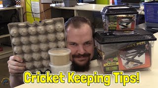 Why are My Crickets Dying? 🦗 - (The Top 5 Reasons Why and How to Prevent it from Happening)