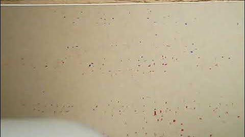 Connect Plus ; Past Simple Tense for grade 5