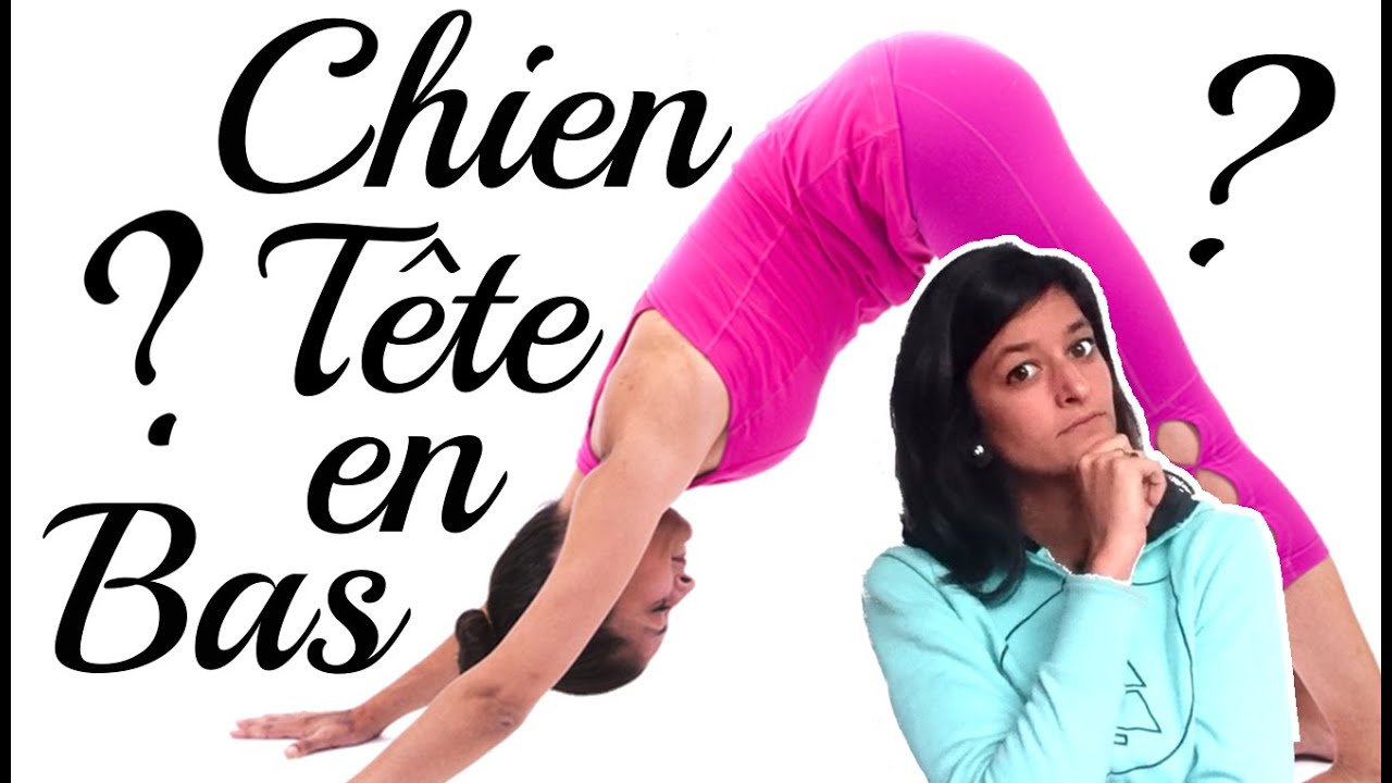 Chien Tête en Bas | Yoga Débutant | Le Yoga de A à Z