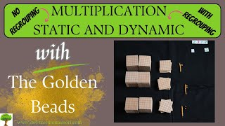 Static and Dynamic Multiplication with the Montessori Golden Beads
