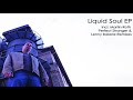 Liquid Soul Global Illumination Martin Roth OMFG Remix mp3