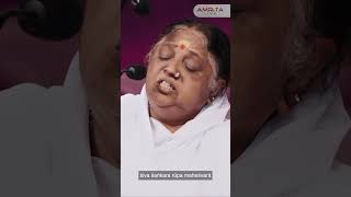 Download Lagu Shiv Bhajan | Sankara Shiva Sankara |Amma’s Bhajans| Amrita Live|OTT MP3 Download Lagu Shiv Bhajan | Sankara Shiva Sankara |Amma’s Bhajans| Amrita Live|OTT MP3
