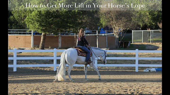 How to Get More Lift in Your Horses Lope | Dana Ho...