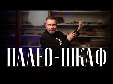 Видео: Какие бывают 4 типа окаменелостей?