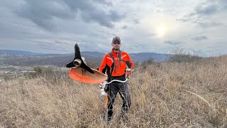 Stihl Fs 490-C in big dry grass with 300 mm brush knife. (Motocosa Stihl in iarba uscata .)