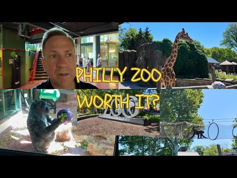 Is The Philadelphia Zoo Worth Visiting?